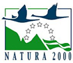 sample logo